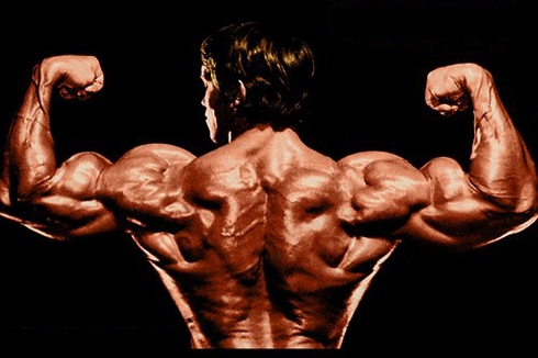 Arnold Schwarzenegger back muscles wallpaper