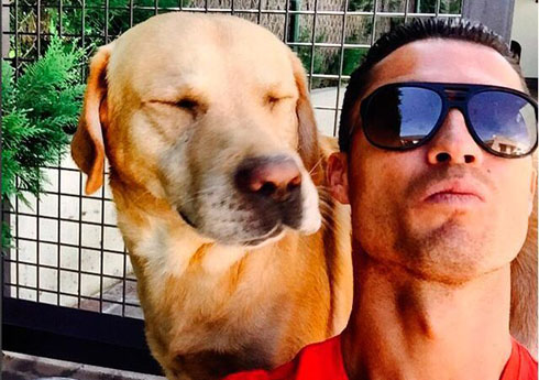 Cristiano Ronaldo next to Marosca, his dog Labrador