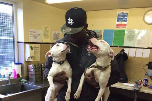Mario Balotelli and his two Bull Terrier dogs